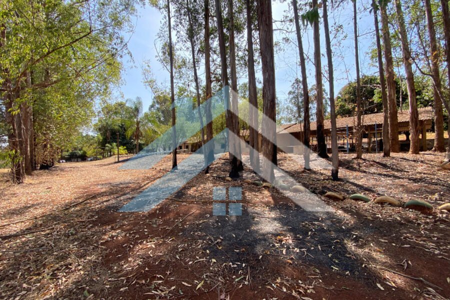 4DA40EC4-0E5C-4C2C-AEAC-358D4CB3F51C